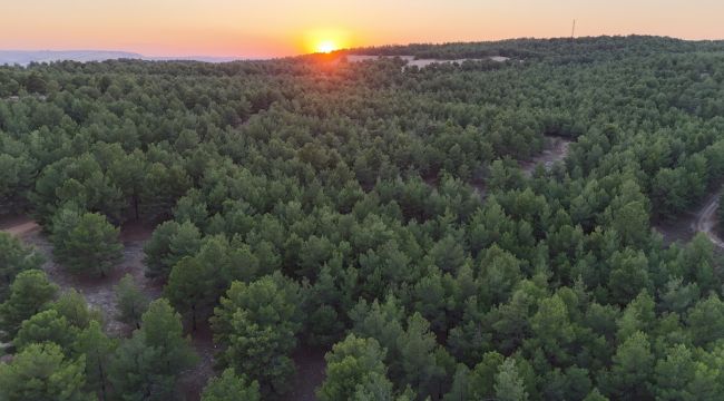 Gölpınar Tabiat Parkı Karaköprü’de Yeni Cazibe Merkezi Olacak