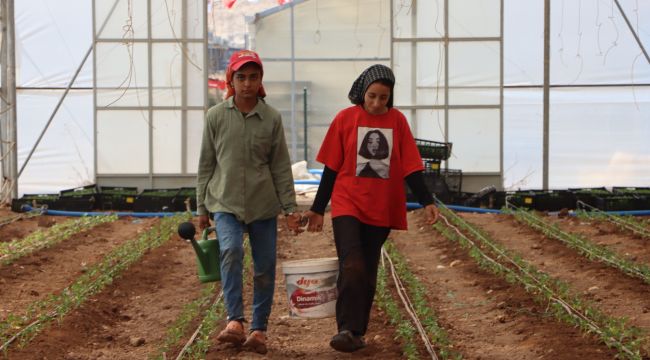 Büyükşehir Belediyesi Domates ve Biber Fidelerini Toprakla Buluşturdu