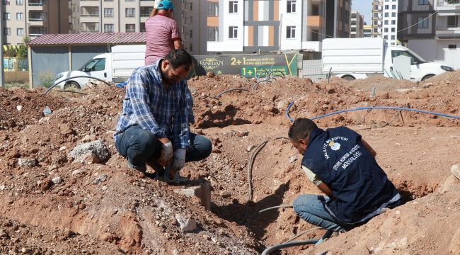 Haliliye Belediyesi İle Yeşil Alanlara Önem Veriliyor