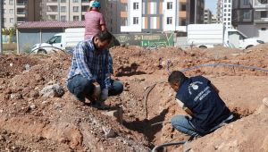 Haliliye Belediyesi İle Yeşil Alanlara Önem Veriliyor