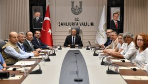 Şanlıurfa Dünya Neolitik Kongresine Hazırlanıyor.