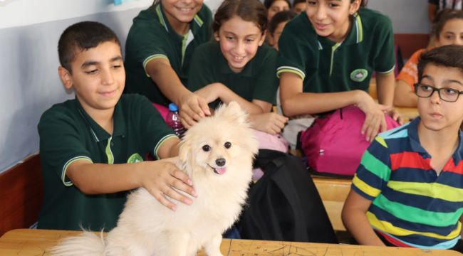 Büyükşehir’den 4 Ekim Hayvan Hakları Gününde Büyük Farkındalık