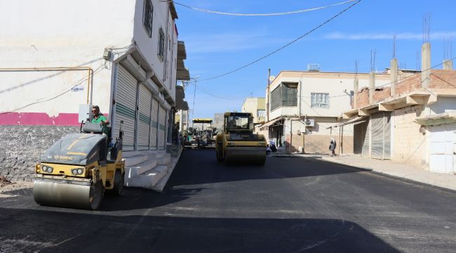 Büyükşehir'den Ceylanpınar'da Asfalt Atağı