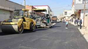 Büyükşehir'den Ceylanpınar'da Asfalt Atağı