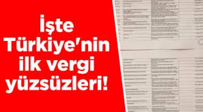 İşte Türkiye'nin Vergi Yüzsüzleri