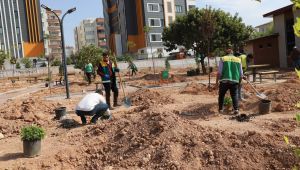 Karaköprü'de Ağaçlandırma Seferberliği Başlatıldı