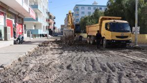 Şanlıurfa Büyükşehir Belediyesi Ceylanpınar'da üst yapı çalışmalarına başladı