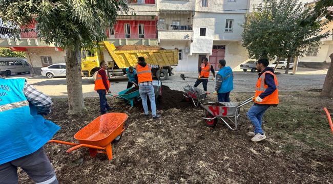 Eyyübiye Parklarında Bakım Zamanı