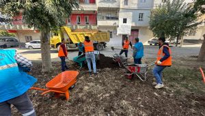 Eyyübiye Parklarında Bakım Zamanı