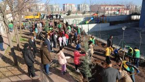 Karaköprü'de Okul Bahçeleri Ağaçlandırılıyor