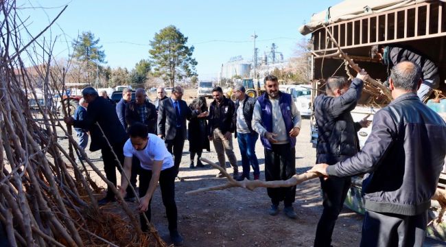 Büyükşehir Belediyesi'nden İpek Böceği Yetiştiricilerine Dut Ağacı Desteği