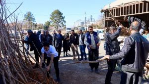 Büyükşehir Belediyesi'nden İpek Böceği Yetiştiricilerine Dut Ağacı Desteği