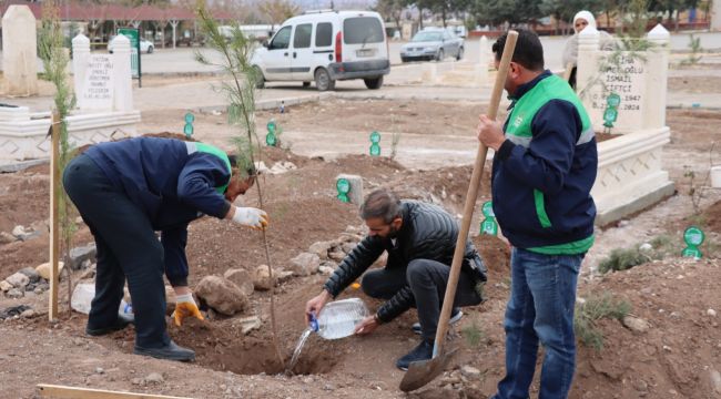 Büyükşehir Belediyesi’nden Mezarlıkta Ağaçlandırma Çalışması