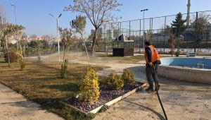 Eyyübiye’nin Yeşil Alanlarına Özenli Bakım