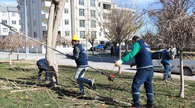 Haliliye’de 203 Park ve Sokaklarda Hummalı Peyzaj Çalışmaları