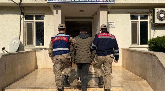 Şanlıurfa'da Firari Hükümlülere Büyük Operasyon: 36 Kişi Yakalandı