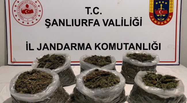 Şanlıurfa'da Uyuşturucu Operasyonu: 16 Kişi Gözaltına Alındı!