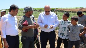 Tanal, Mevsimlik Tarım İşçilerini Yine Meclis’e Taşıdı