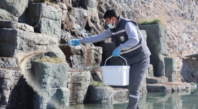 Büyükşehir Belediyesi, Sivrisinek ve Haşere İlaçlama Çalışmalarını Sürdürüyor